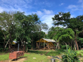 RAINBOW FOREST Permaculture filed - Vacation STAY 14662v